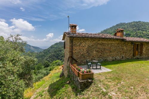 Foto 36 - Casa con 3 camere da letto a Pescia con piscina e giardino