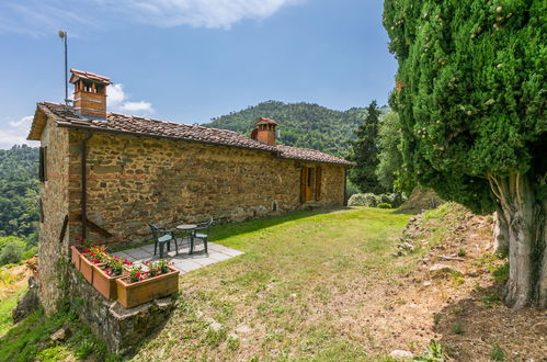 Foto 34 - Casa con 3 camere da letto a Pescia con piscina e giardino