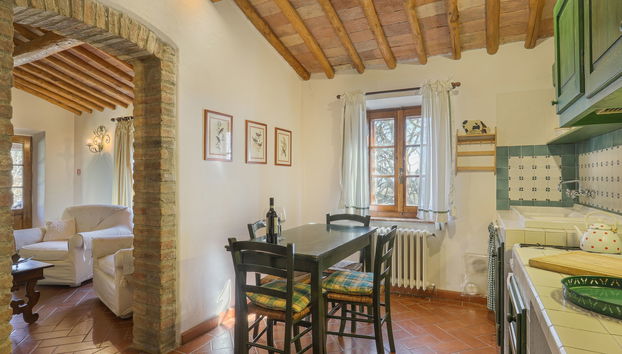 Apartamento de 2 quartos em Castellina in Chianti com piscina e jardim - Foto 5