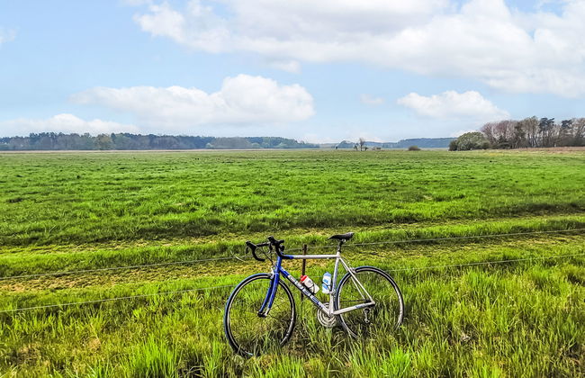 Haus mit 2 Schlafzimmern in Leopoldshagen mit garten und terrasse - Foto 18