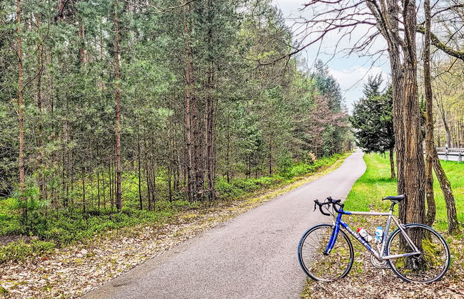 Haus mit 2 Schlafzimmern in Leopoldshagen mit garten und terrasse - Foto 19
