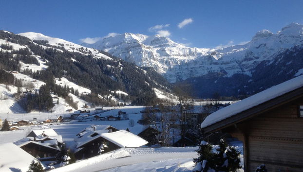 2 bedroom Apartment in Lenk - Photo 3