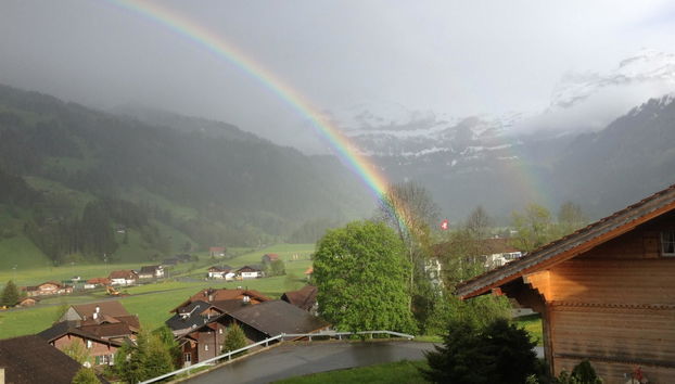 2 bedroom Apartment in Lenk - Photo 4