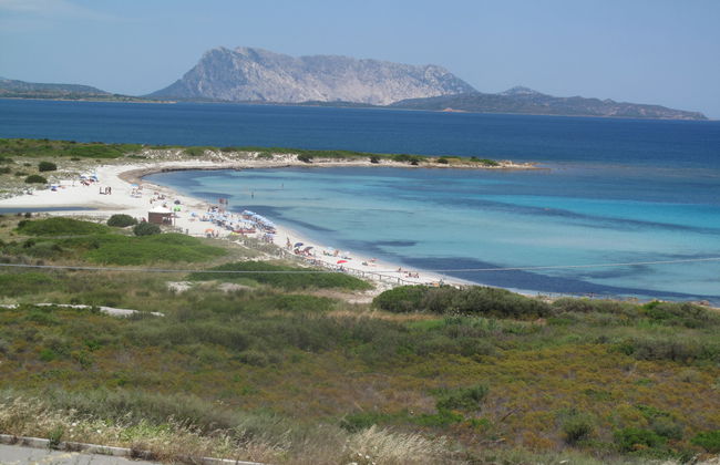 Haus mit 1 Schlafzimmer in San Teodoro mit schwimmbad und garten - Foto 26