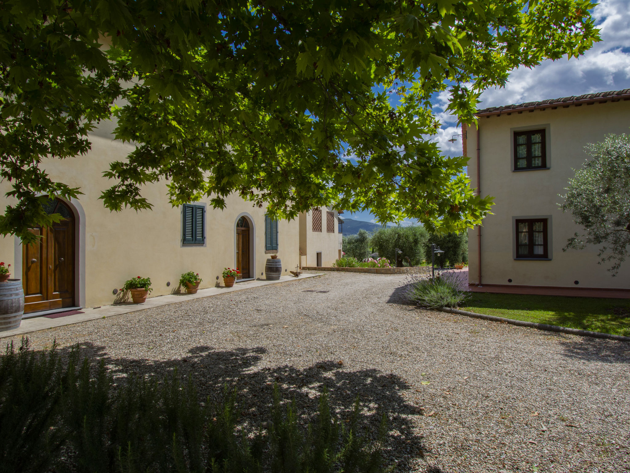 Foto 22 - Casa con 2 camere da letto a Cerreto Guidi con piscina e giardino