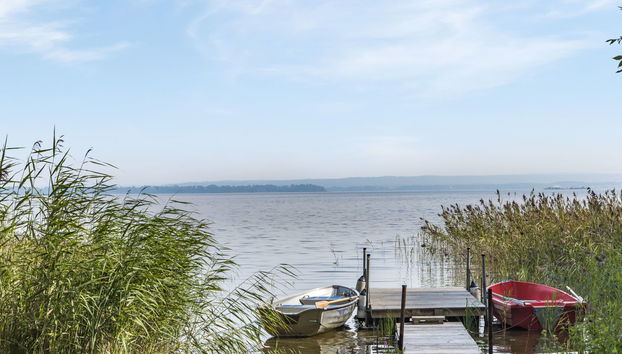 Haus mit 2 Schlafzimmern in Fjälkinge mit garten und terrasse - Foto 5