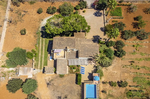 Photo 27 - Maison de 4 chambres à Santa Margalida avec piscine privée et vues à la mer