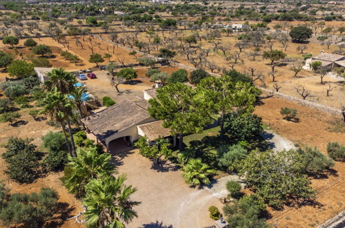 Photo 28 - Maison de 4 chambres à Santa Margalida avec piscine privée et jardin