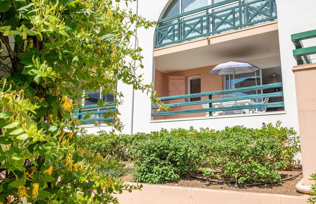 Apartamento de 2 quartos em Le Grau-du-Roi com piscina e terraço - Foto 22