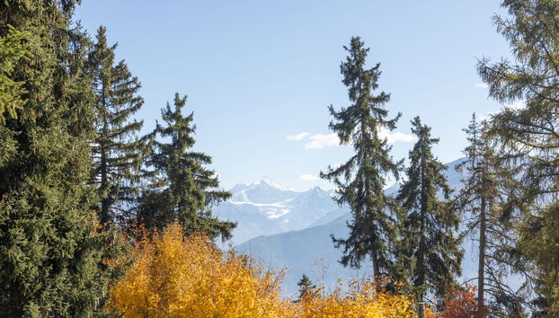 Appartement de 4 chambres à Crans-Montana - Photo 5