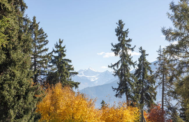 Apartamento de 4 quartos em Crans-Montana - Foto 5