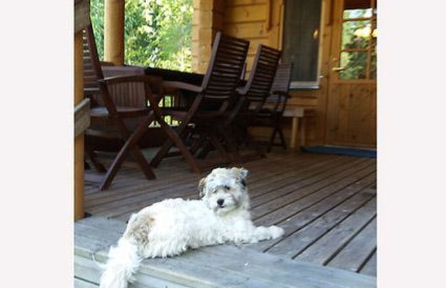 2 bedroom House in Kuhmoinen with sauna - Photo 3