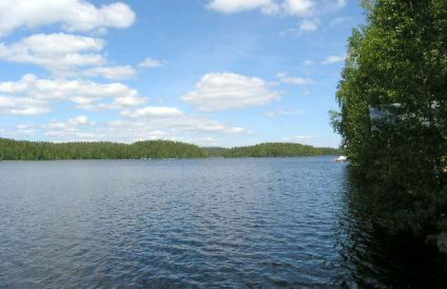 2 bedroom House in Kuhmoinen with sauna - Photo 6