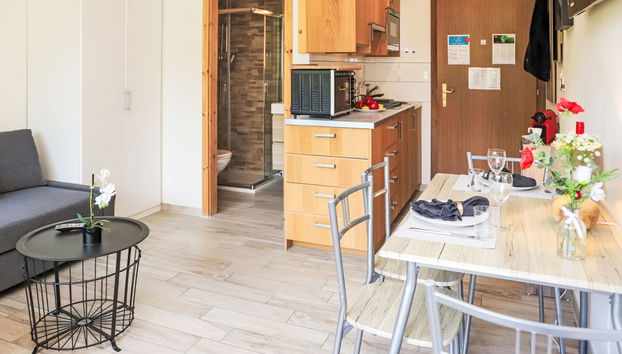 Apartment mit 1 Schlafzimmer in Nendaz - Foto 3