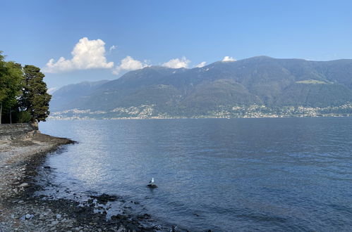 Photo 28 - Appartement de 2 chambres à Locarno avec vues sur la montagne