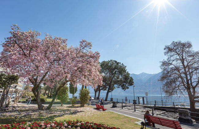 Apartamento de 2 quartos em Ascona - Foto 25