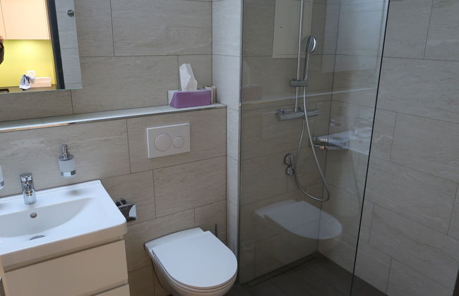 Apartamento de 1 quarto em Disentis/Mustér com piscina e jardim - Foto 5