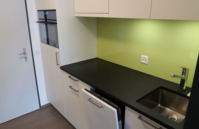 Apartamento de 1 quarto em Disentis/Mustér com piscina e jardim - Foto 4