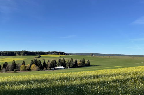 Foto 40 - Haus mit 2 Schlafzimmern in Löffingen mit terrasse und blick auf die berge