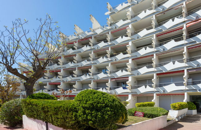 Apartamento de 1 quarto em La Grande-Motte com piscina e terraço - Foto 9