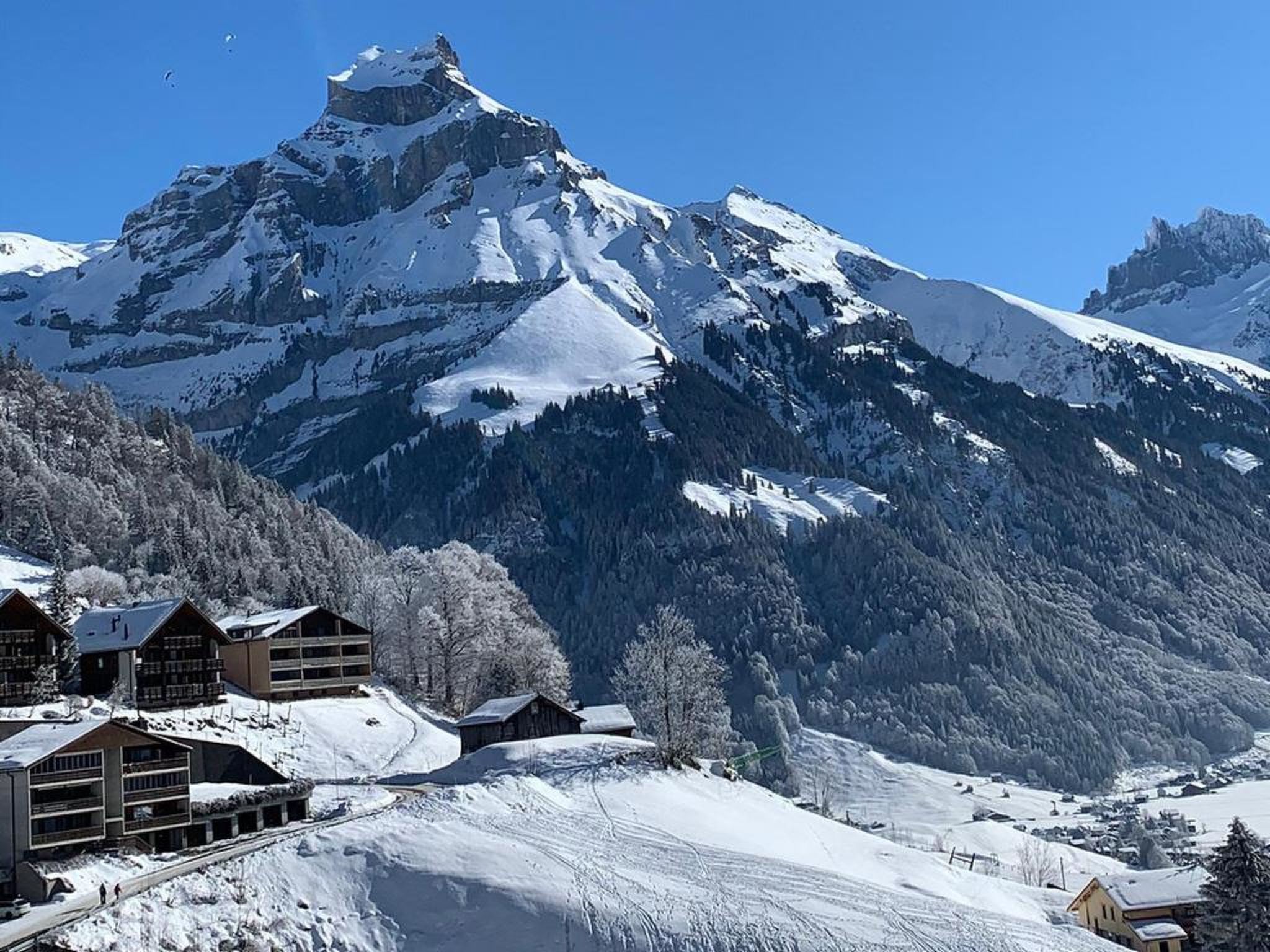 Foto 22 - Appartamento con 3 camere da letto a Engelberg