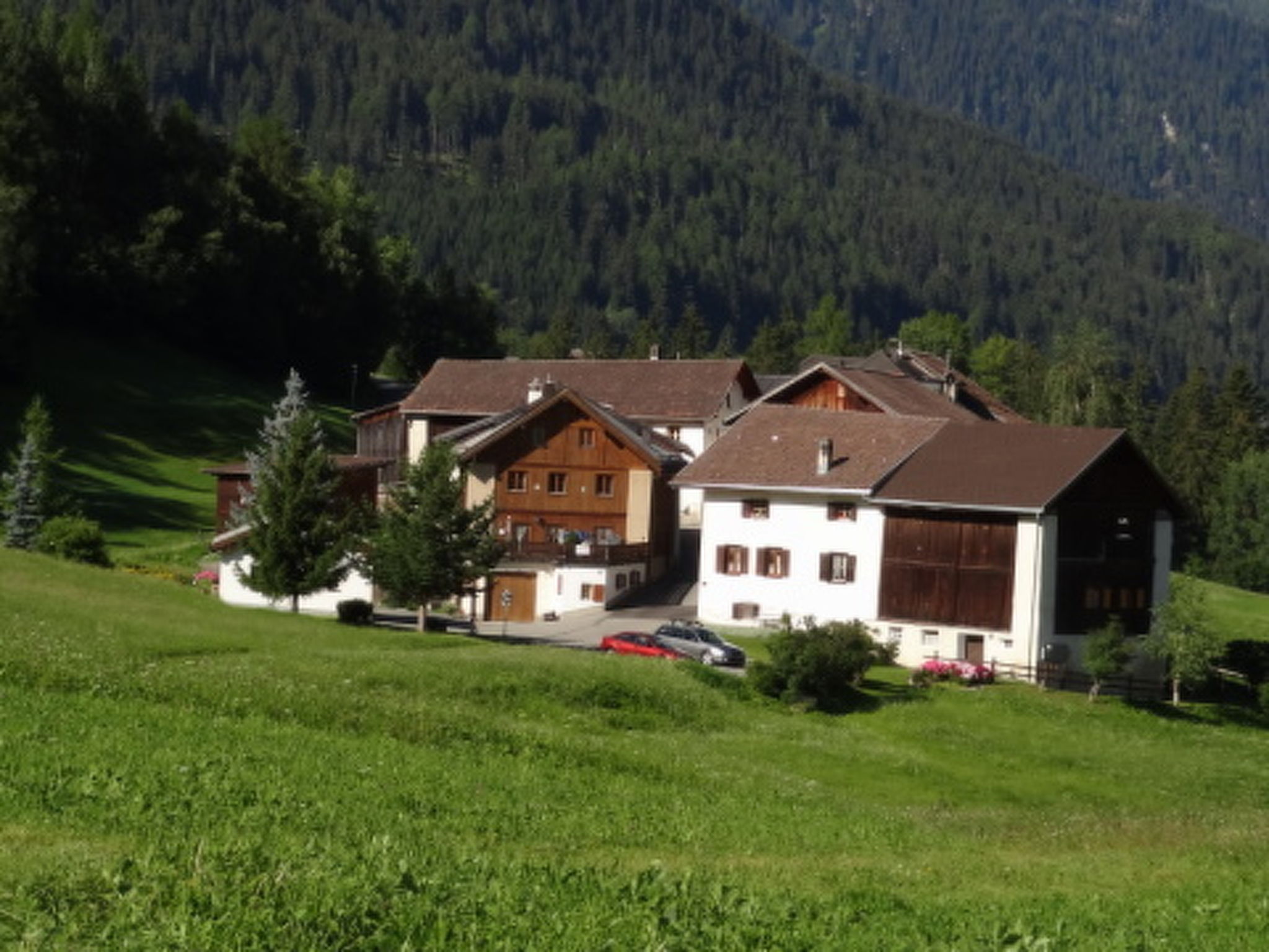 Foto 12 - Apartamento de 2 quartos em Scuol com vista para a montanha