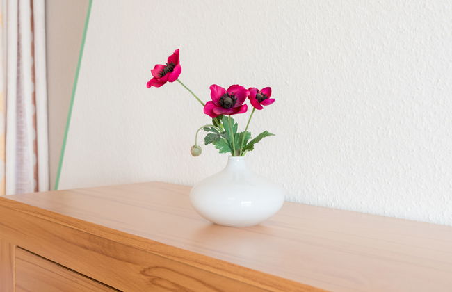 Apartment mit 2 Schlafzimmern in Lahnstein mit schwimmbad und sauna - Foto 12