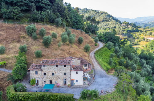 Foto 8 - Apartamento de 2 quartos em Pescia com piscina e jardim