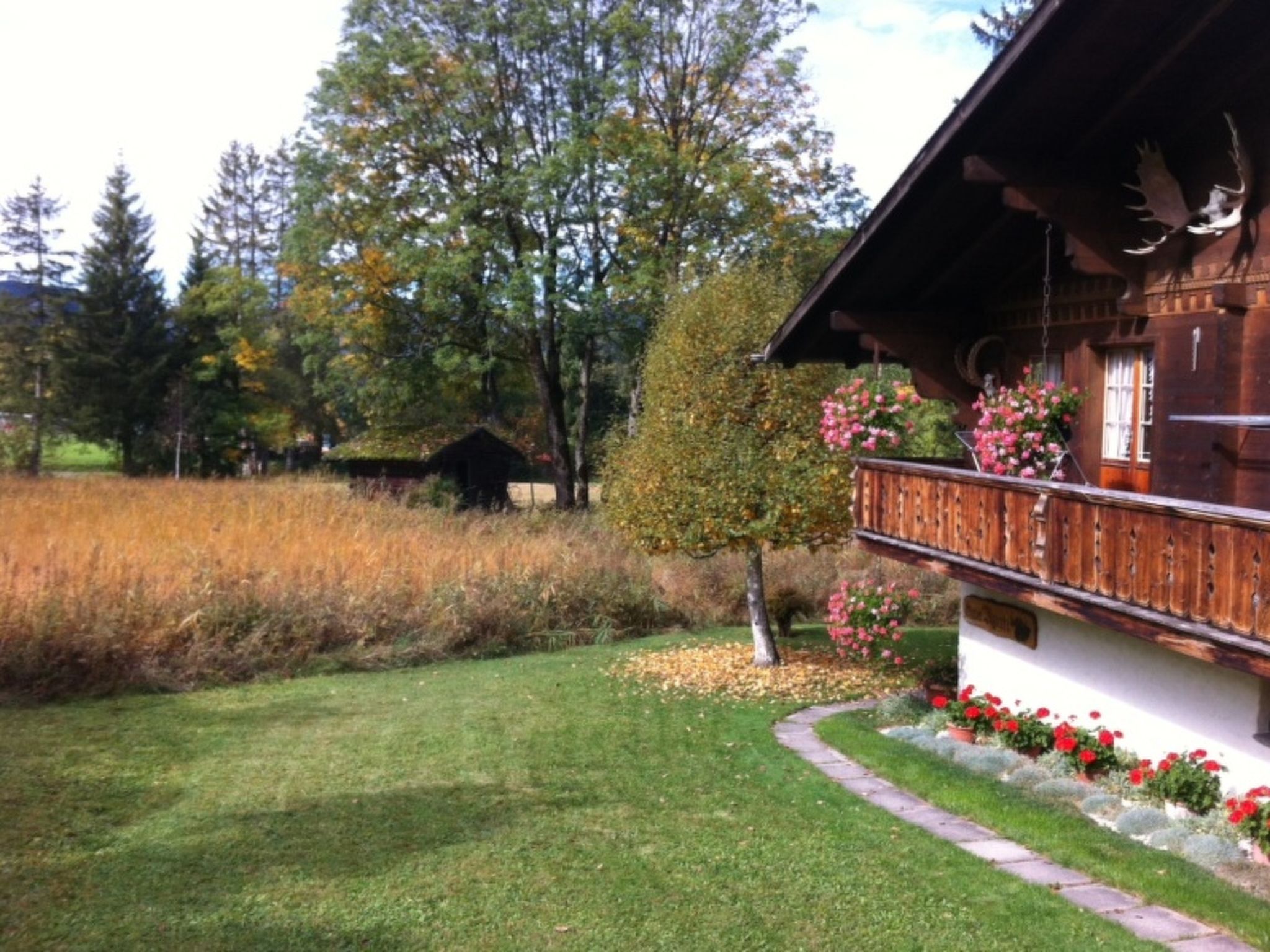 Foto 3 - Appartamento con 2 camere da letto a Saanen con vista sulle montagne