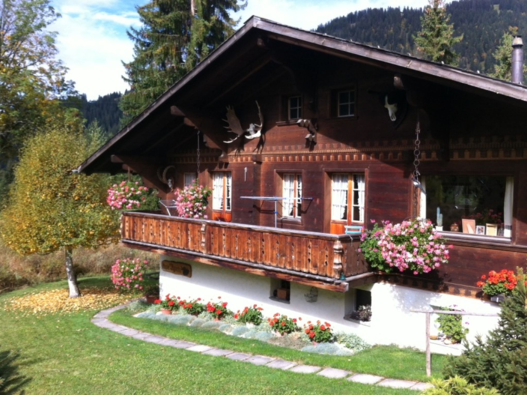 Foto 1 - Apartment mit 2 Schlafzimmern in Saanen mit blick auf die berge