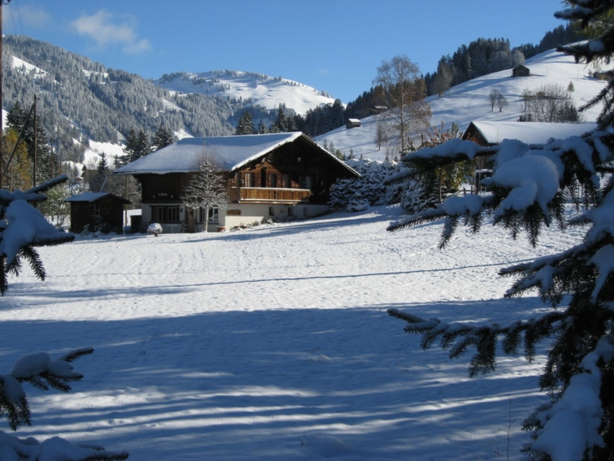 Foto 2 - Apartamento de 2 quartos em Saanen com vista para a montanha