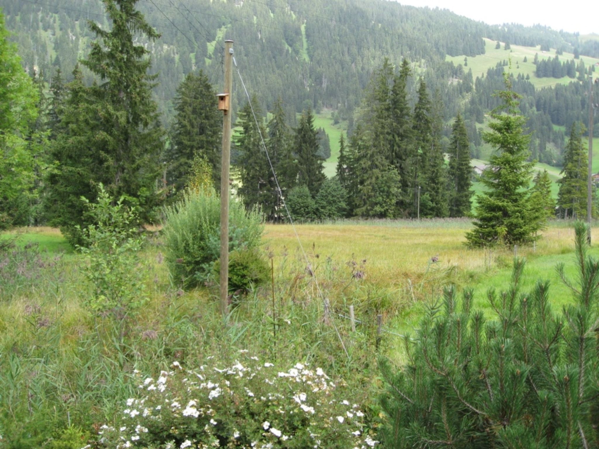 Foto 5 - Appartamento con 2 camere da letto a Saanen con vista sulle montagne