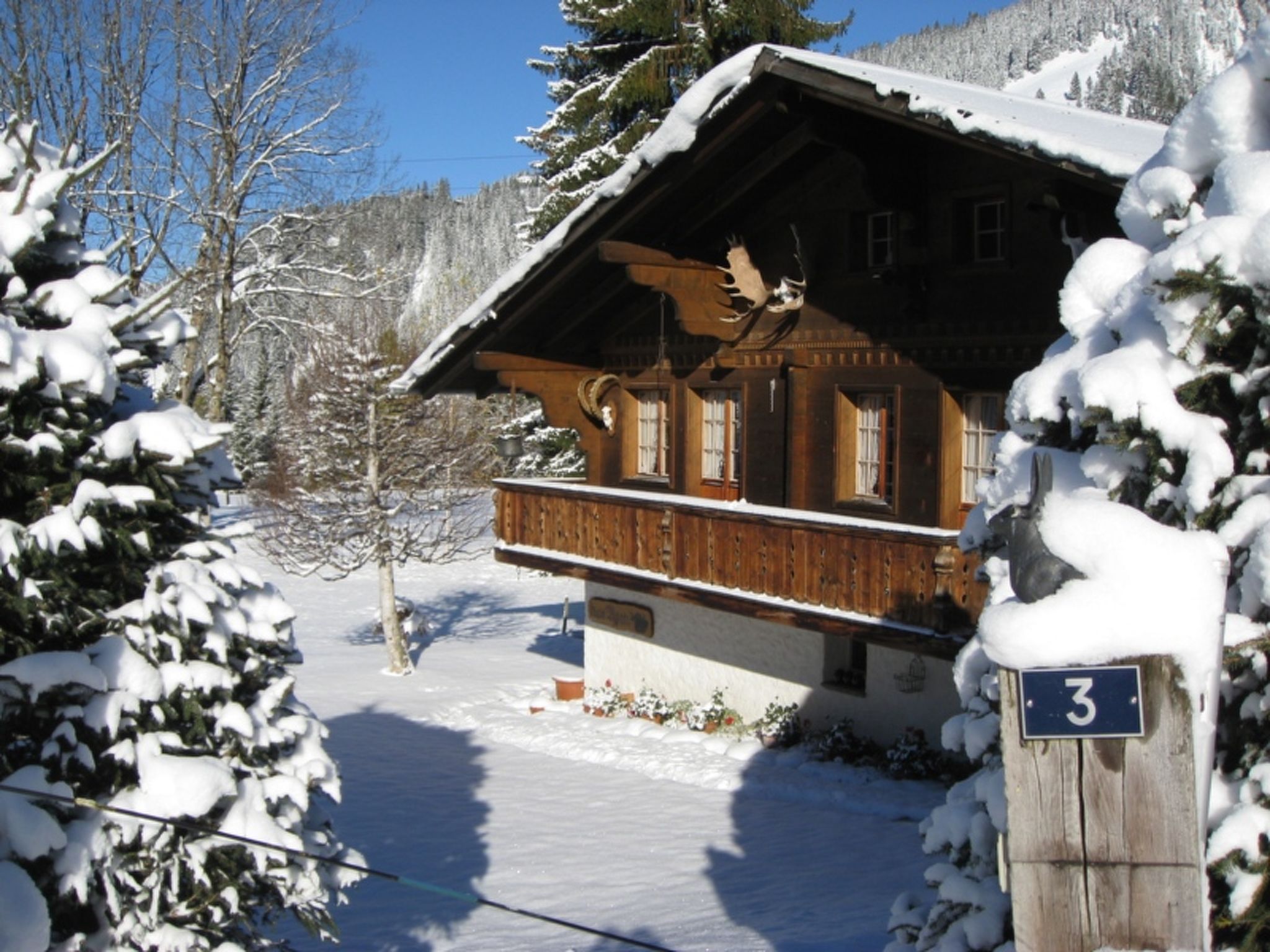 Foto 7 - Apartamento de 2 habitaciones en Saanen con vistas a la montaña