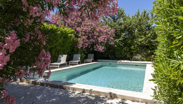 Haus mit 4 Schlafzimmern in Maussane-les-Alpilles mit privater pool und garten - Foto 2