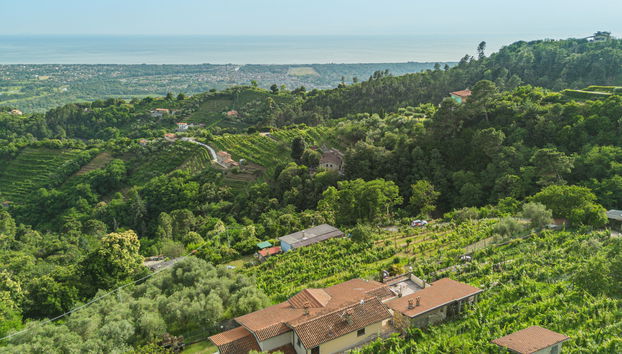 Haus mit 5 Schlafzimmern in Montignoso mit garten und terrasse - Foto 4