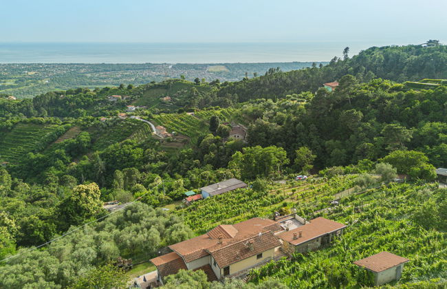 Casa de 5 quartos em Montignoso com jardim e terraço - Foto 4