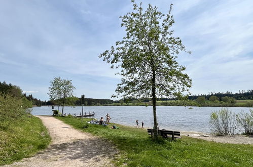 Foto 40 - Apartment mit 2 Schlafzimmern in Löffingen mit schwimmbad