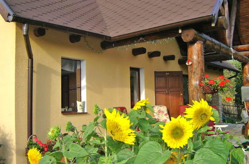 Foto 15 - Casa de 2 quartos em Drawsko com jardim e terraço