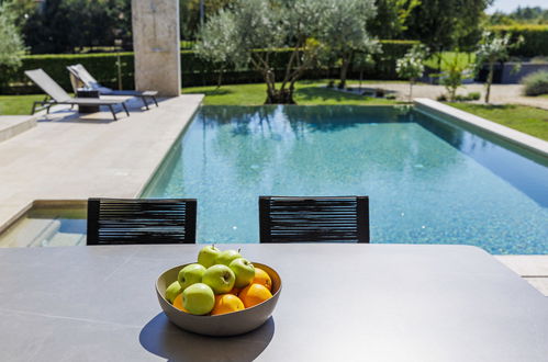 Photo 3 - Maison de 3 chambres à Sveti Petar u Šumi avec piscine privée et jardin