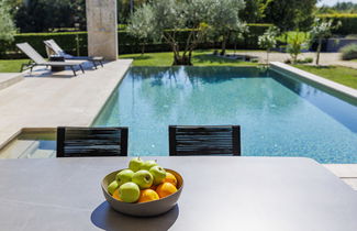 Photo 3 - Maison de 3 chambres à Sveti Petar u Šumi avec piscine privée et jardin