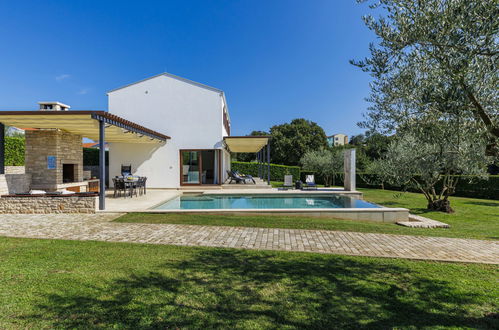 Photo 31 - Maison de 3 chambres à Sveti Petar u Šumi avec piscine privée et jardin