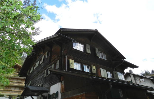 Apartamento de 1 quarto em Saanen - Foto 3