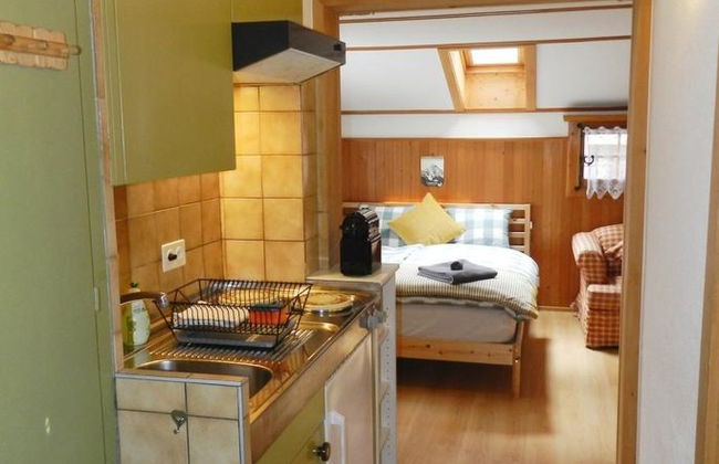 Apartamento de 1 quarto em Saanen - Foto 17