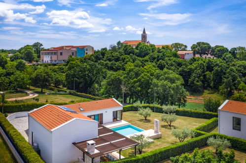 Foto 9 - Casa con 3 camere da letto a Sveti Petar u Šumi con piscina privata e giardino