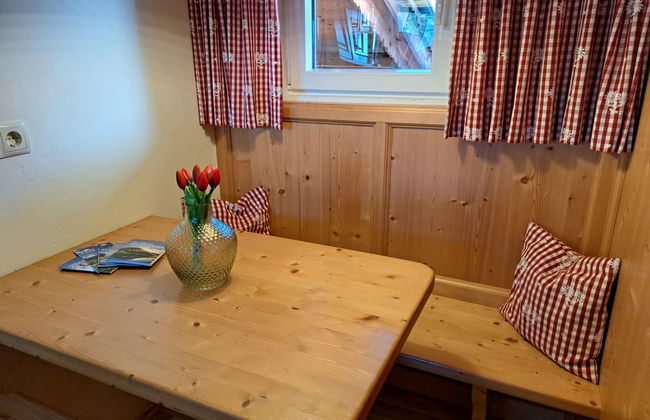 Casa de 1 quarto em Mayrhofen com jardim - Foto 17