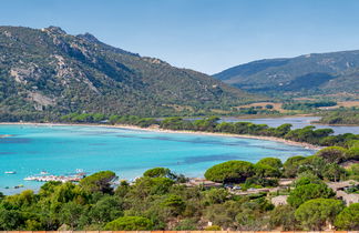 Foto 3 - Casa de 1 quarto em Porto-Vecchio com piscina e jardim