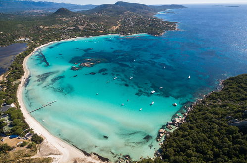 Foto 30 - Appartamento con 2 camere da letto a Porto-Vecchio con piscina e terrazza