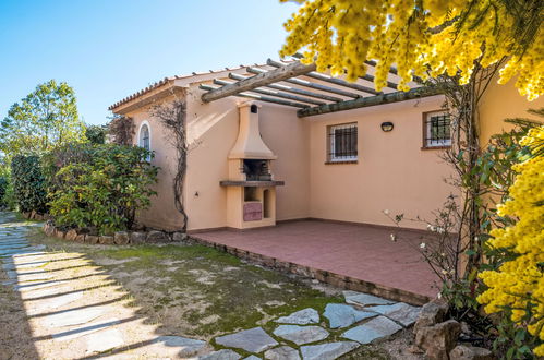 Photo 13 - Maison de 1 chambre à Porto-Vecchio avec piscine et jardin