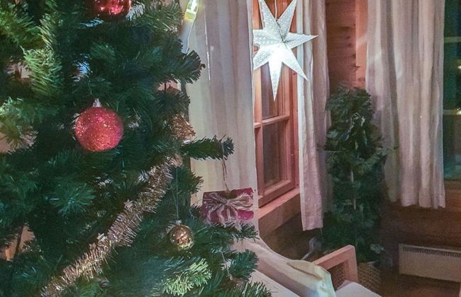 Hartolan ilo - Photo 55