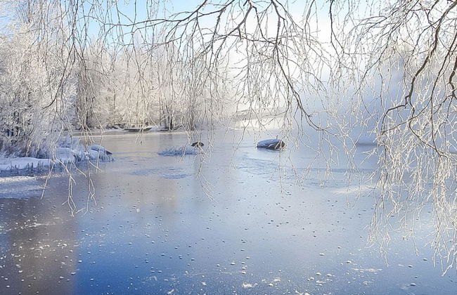 Hartolan ilo - Photo 53